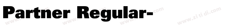 Partner Regular字体转换